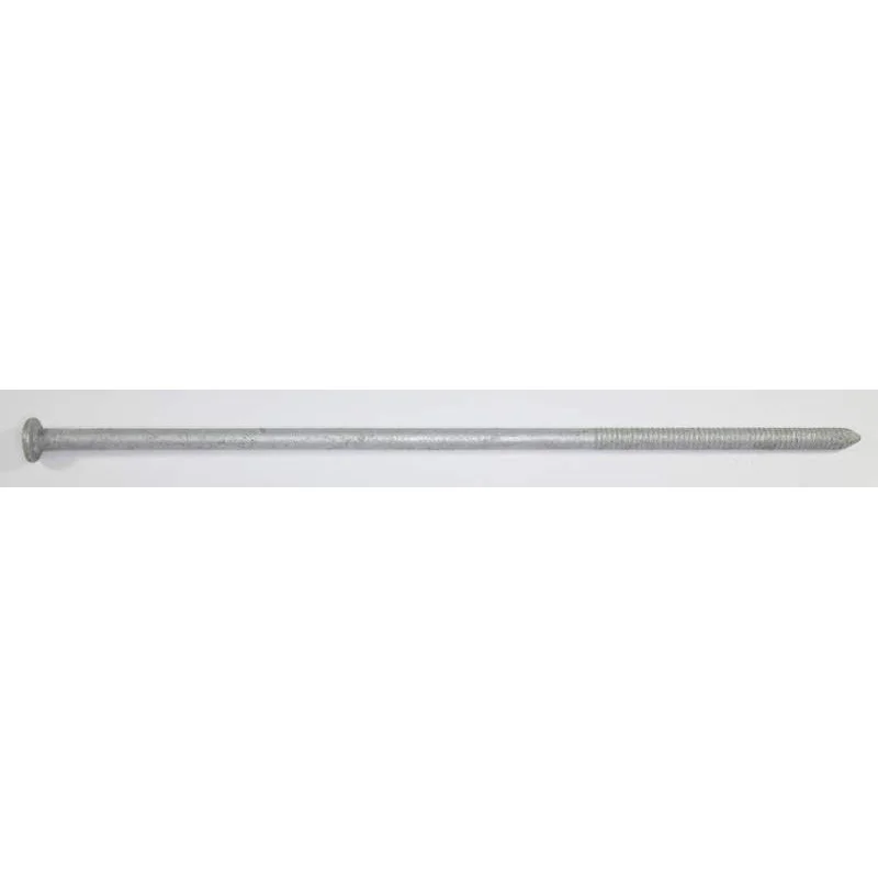 10" HOT DIPPED GALVANIZED SPIKES (10") 50 LB
